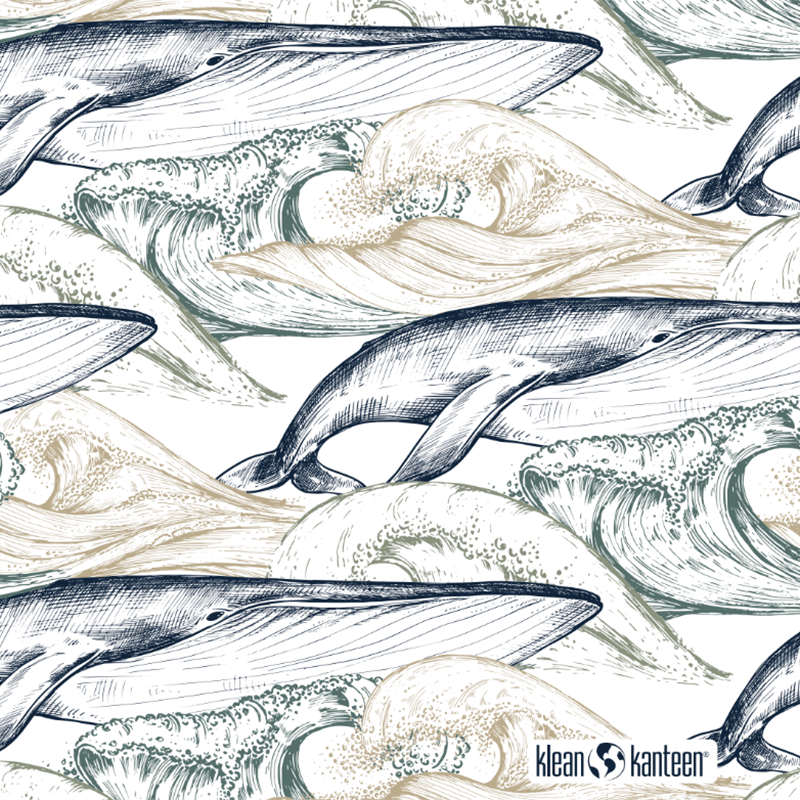 20oz-tkwide-with-twist-cap-ocean-day-g4 20oz_tkwide_bottle_seasonal_ocean_day_whale_artwork_square.png
