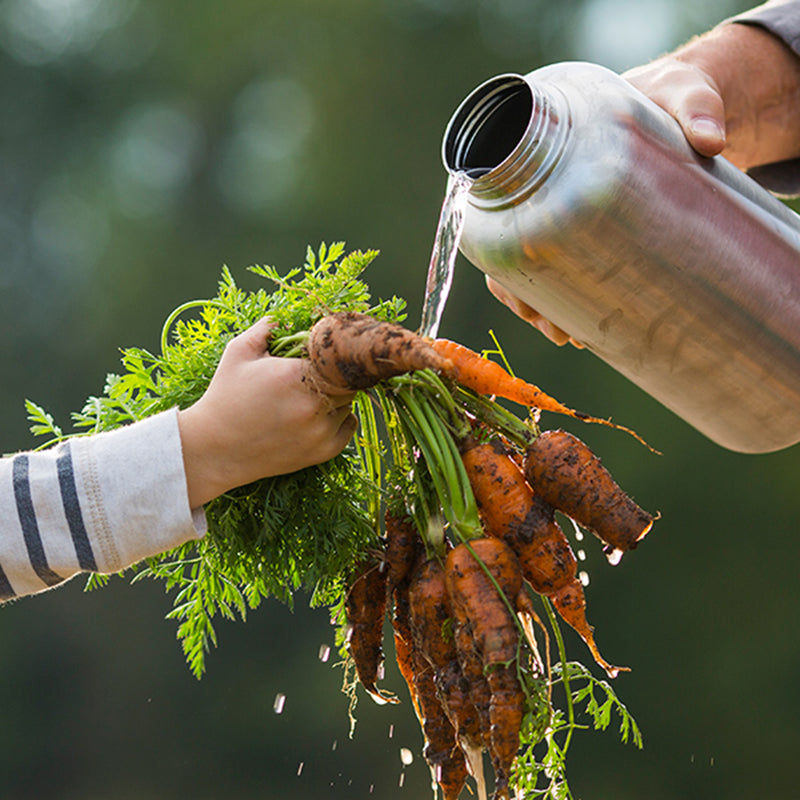64oz-wide-with-loop-cap-w4 64oz_wide_mouth_bottle_carrots_rinse_square.jpg