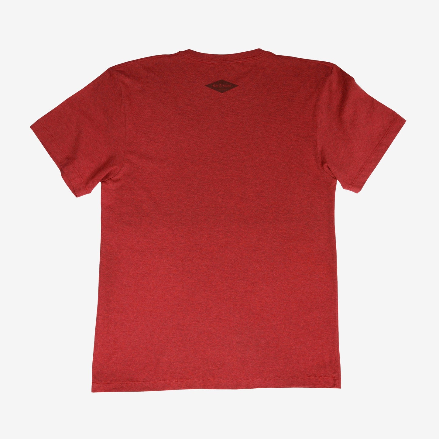 backyard-t-shirt-l8 Shirt_Mtn_Back.jpg